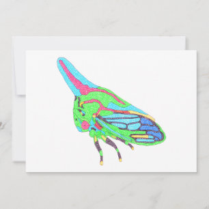 Carte de vœux (simple blanche) - Sauterelle de chê