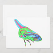 Carte de vœux (simple blanche) - Sauterelle de chê (Devant / Derrière)