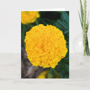 Carte de voeux simple Marigold Jaune