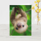 Carte de voeux Sloth (Fleur jaune)