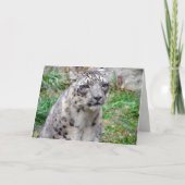 Carte de voeux Snow Leopard (Devant)