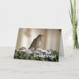 Carte de voeux Song Thrush