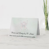 Carte de voeux Spider (Dos)