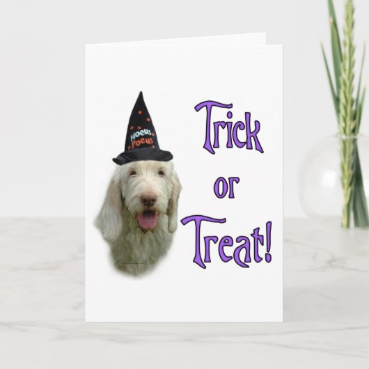 Carte de voeux Spinone Trick (Devant)
