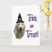 Carte de voeux Spinone Trick (Fleur jaune)