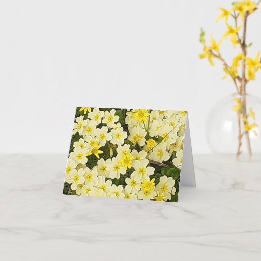Carte de voeux Spring Primroses (Fleur jaune)