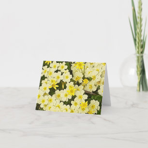 Carte de voeux Spring Primroses