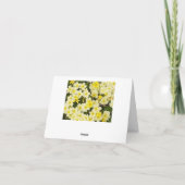 Carte de voeux Spring Primroses (Dos)