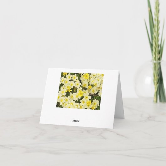 Carte de voeux Spring Primroses (Dos)