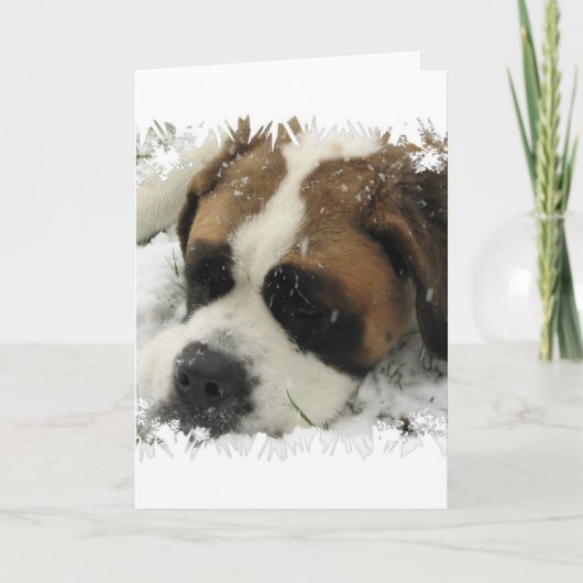 Carte de voeux St Bernard Dog (Devant)