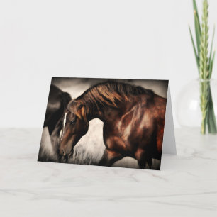 Carte de voeux Stallion Band