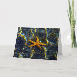 Carte de voeux Starfish