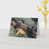 Carte de voeux : Starfish (Fleur jaune)