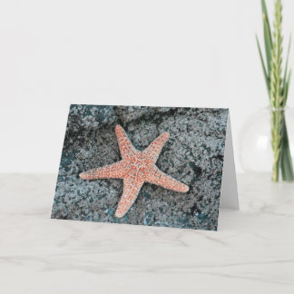 Carte de voeux Starfish
