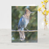 Carte de voeux Steller's Jay (Fleur jaune)