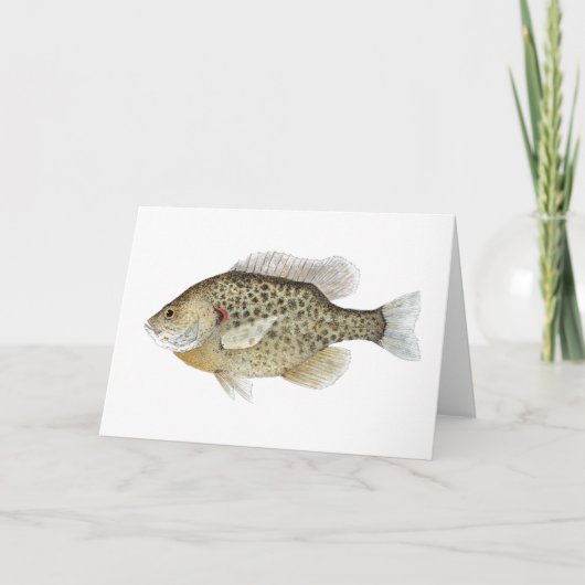 Carte de voeux Sunfish (Devant)