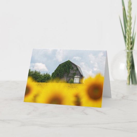 Carte de vœux Sunflower Barn (Devant)