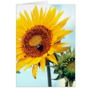 Carte de voeux Sunflower Blue Sky