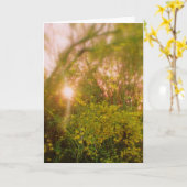 Carte de voeux Sunlight Palo Verde (Fleur jaune)