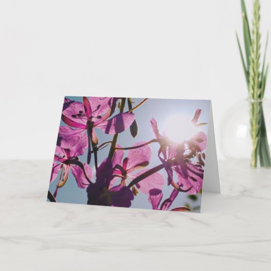 Carte de voeux Sunlight Through Flowers (Devant)