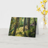 Carte de voeux Sunlit Forest (vide) (Fleur jaune)
