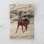 Carte de voeux Sunrise Stallion Wild Horse (Intérieur)