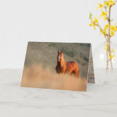 Carte de voeux Sunrise Stallion Wild Horse (Fleur jaune)
