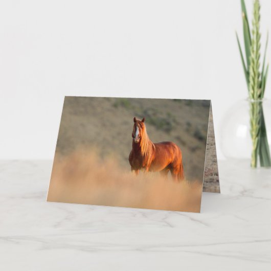 Carte de voeux Sunrise Stallion Wild Horse (Devant)