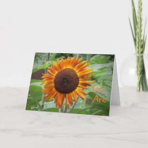 Carte de voeux Sunshine Of My Life Sunflower