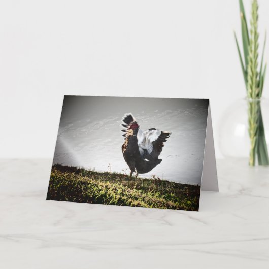 Carte de voeux Super Muscovy Duck (Devant)