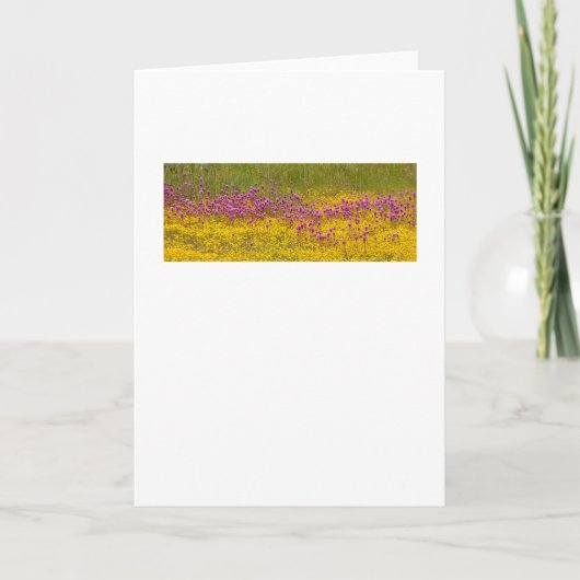 Carte de voeux Superbloom fleur sauvage (Devant)