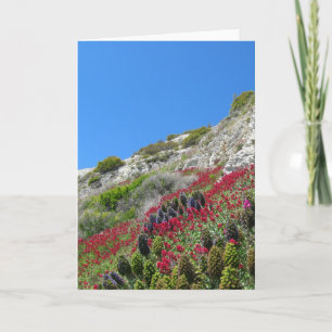 Carte de voeux sur la colline