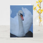 Carte de voeux Swan (Fleur jaune)