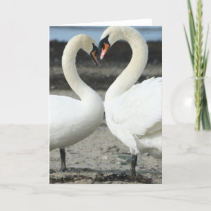 Carte de voeux Swan Love
