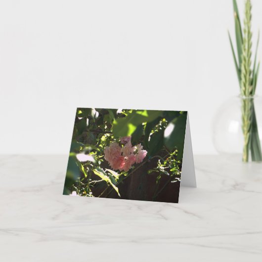 Carte de voeux - Sympathie (Devant)