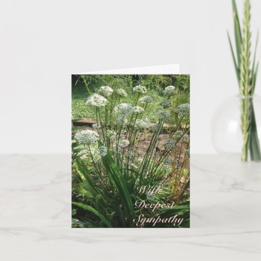 Carte de voeux - Sympathie (Devant)