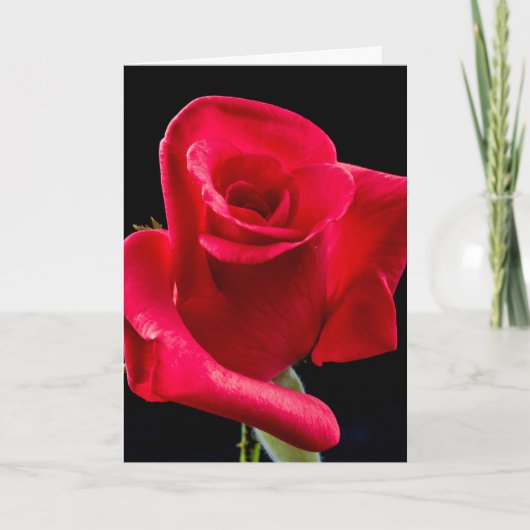 CARTE DE VOEUX SYMPATHIE ROSE (Devant)