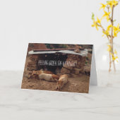 Carte de voeux Sympathy Pig (Fleur jaune)