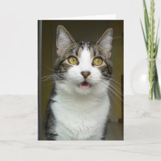 Carte de voeux Syrus Shocked 0001