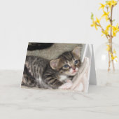 Carte de voeux Tabby adorable (Fleur jaune)