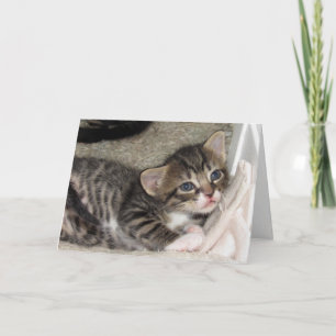 Carte de voeux Tabby adorable