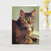 Carte de voeux Tabby Chat Brown (Fleur jaune)