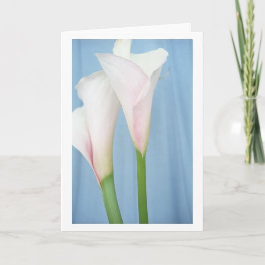 Carte de voeux Tango White Calla Lily (Devant)