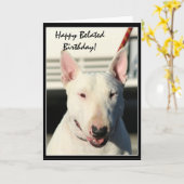 Carte de voeux tardive heureuse de bull-terrier (Fleur jaune)