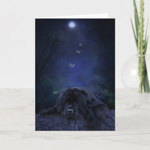 Carte de voeux terre-neuve clair de lune
