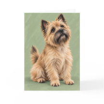 Carte de vœux Terrier Cairn