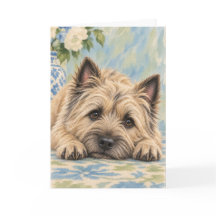 Carte de vœux Terrier Cairn
