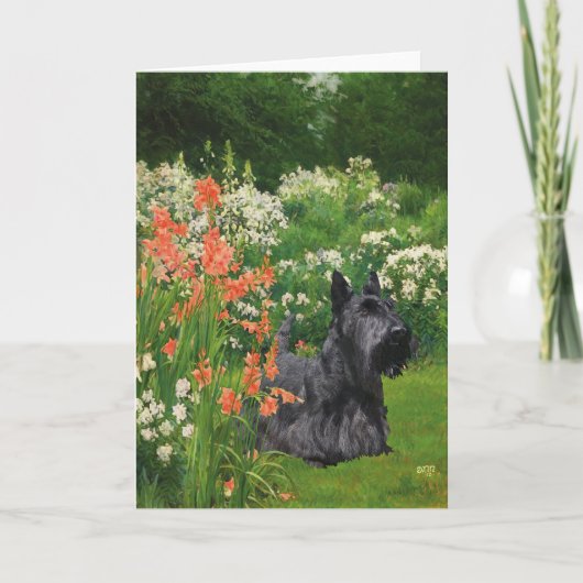 Carte de vœux Terrier Écossais (Devant)