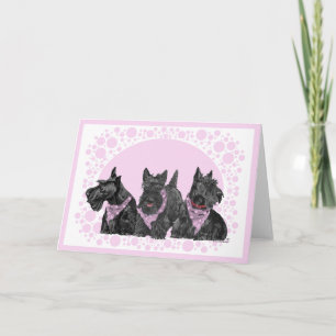 Carte de vœux Terrier Écossais