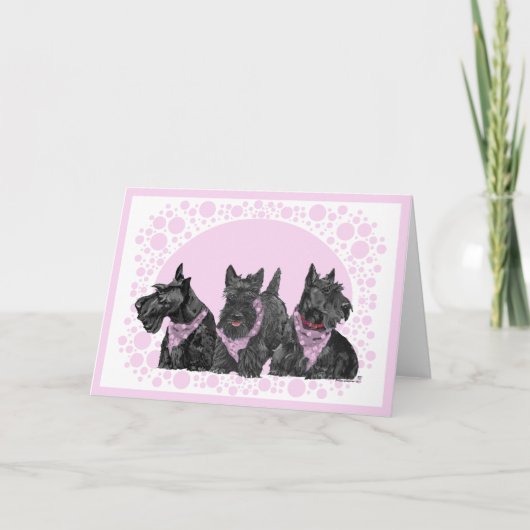 Carte de vœux Terrier Écossais (Devant)